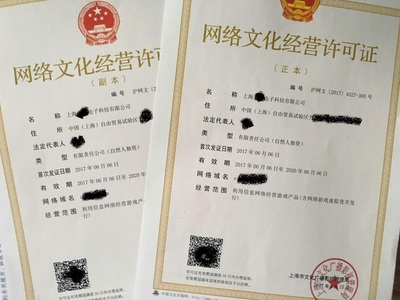 上海網(wǎng)絡(luò)文化經(jīng)營許可證辦理全攻略 條件、流程與注意事項